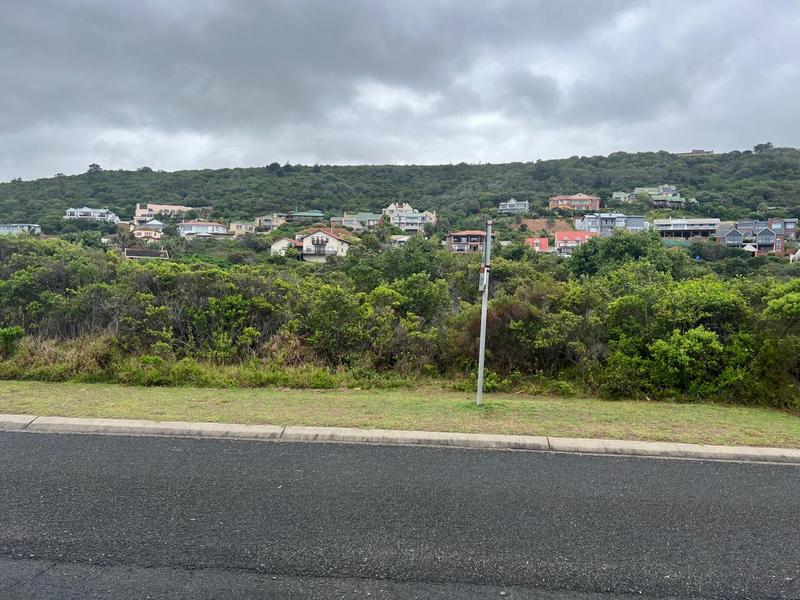 0 Bedroom Property for Sale in Outeniqua Strand Western Cape